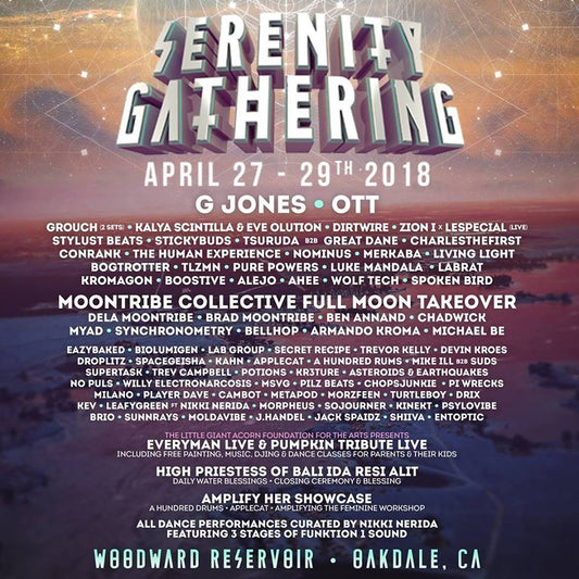 VJ Di at Serenity Gathering 2018