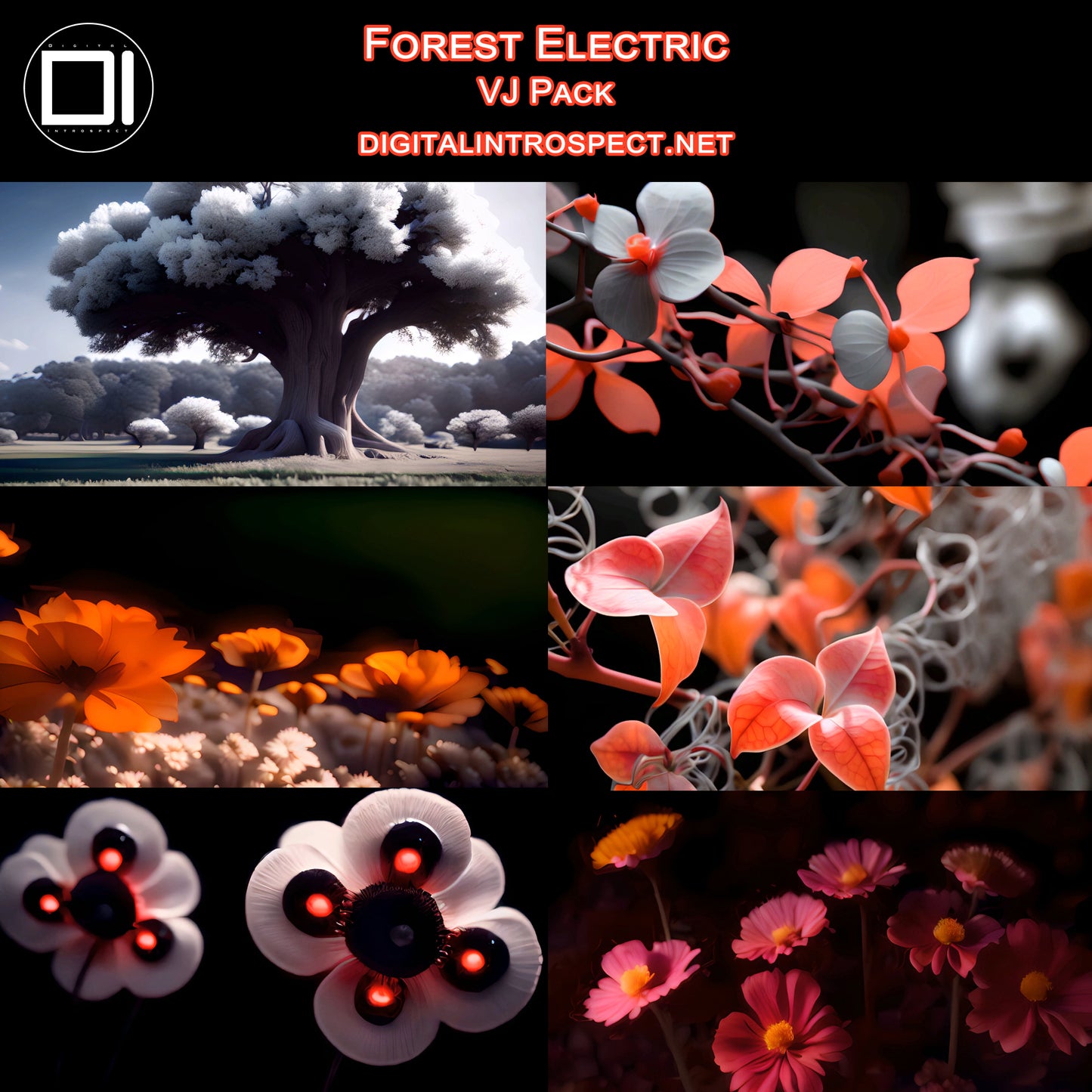 Forest Electric - 4K VJ Pack