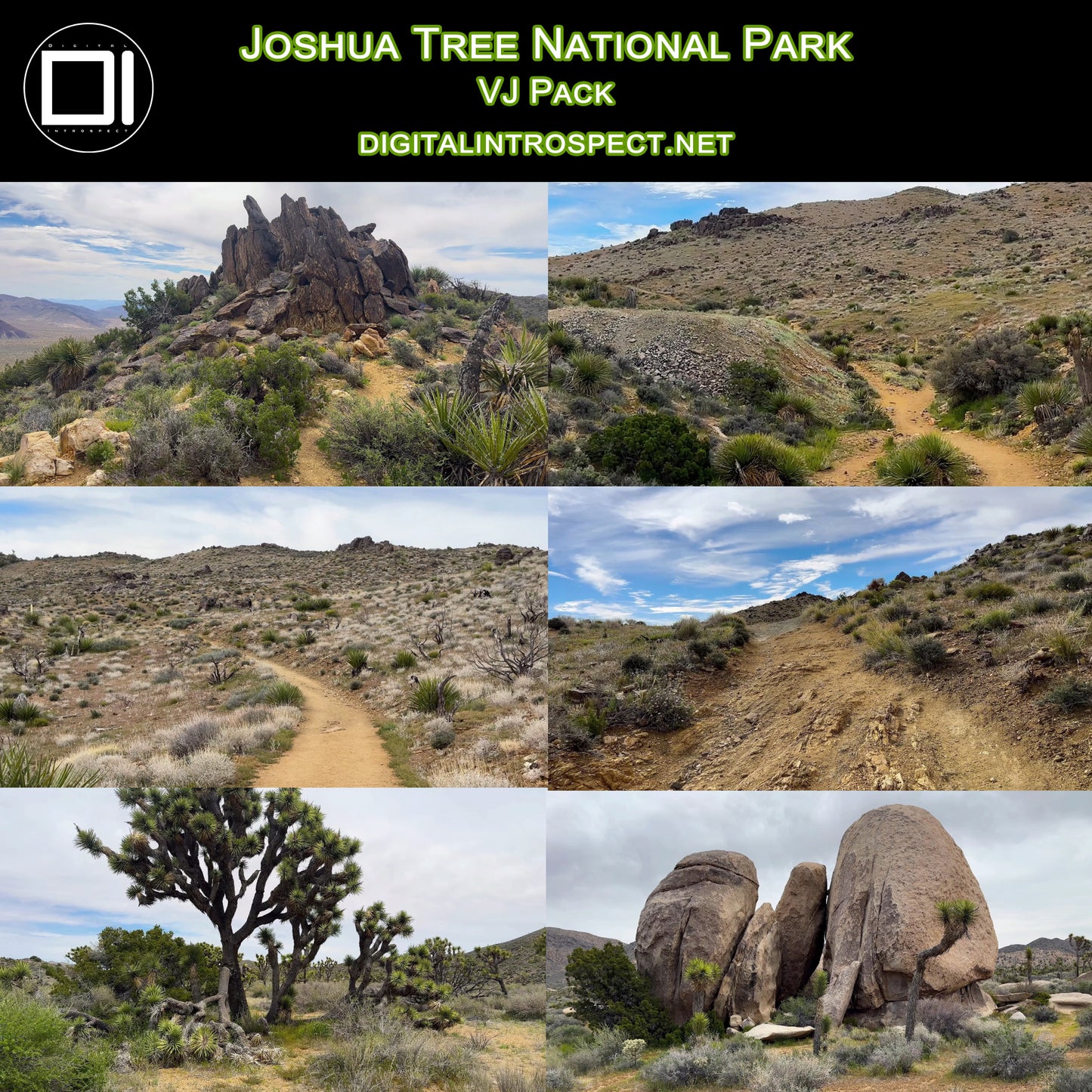 Joshua Tree VJ Pack icon