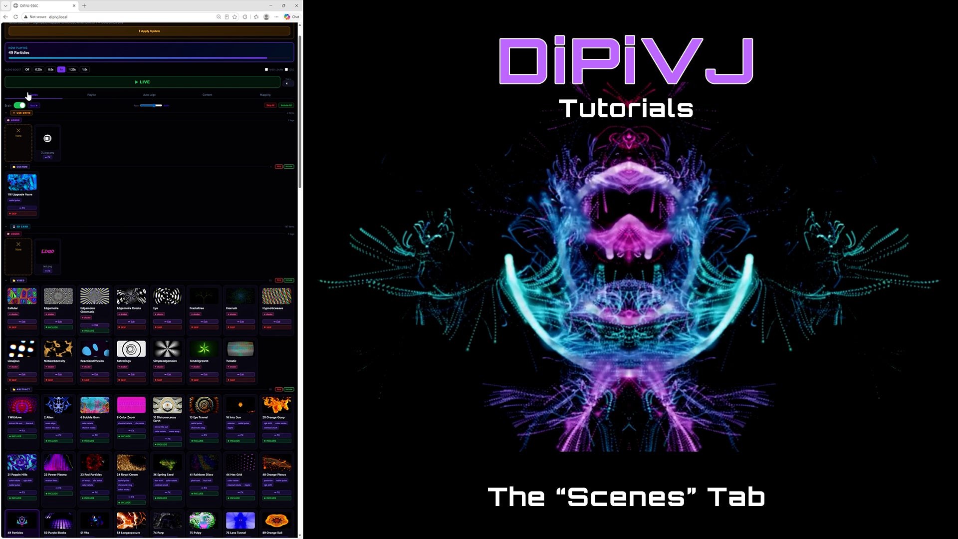 Load video: Overview of the "Scenes" tab of DiPiVJ web UI