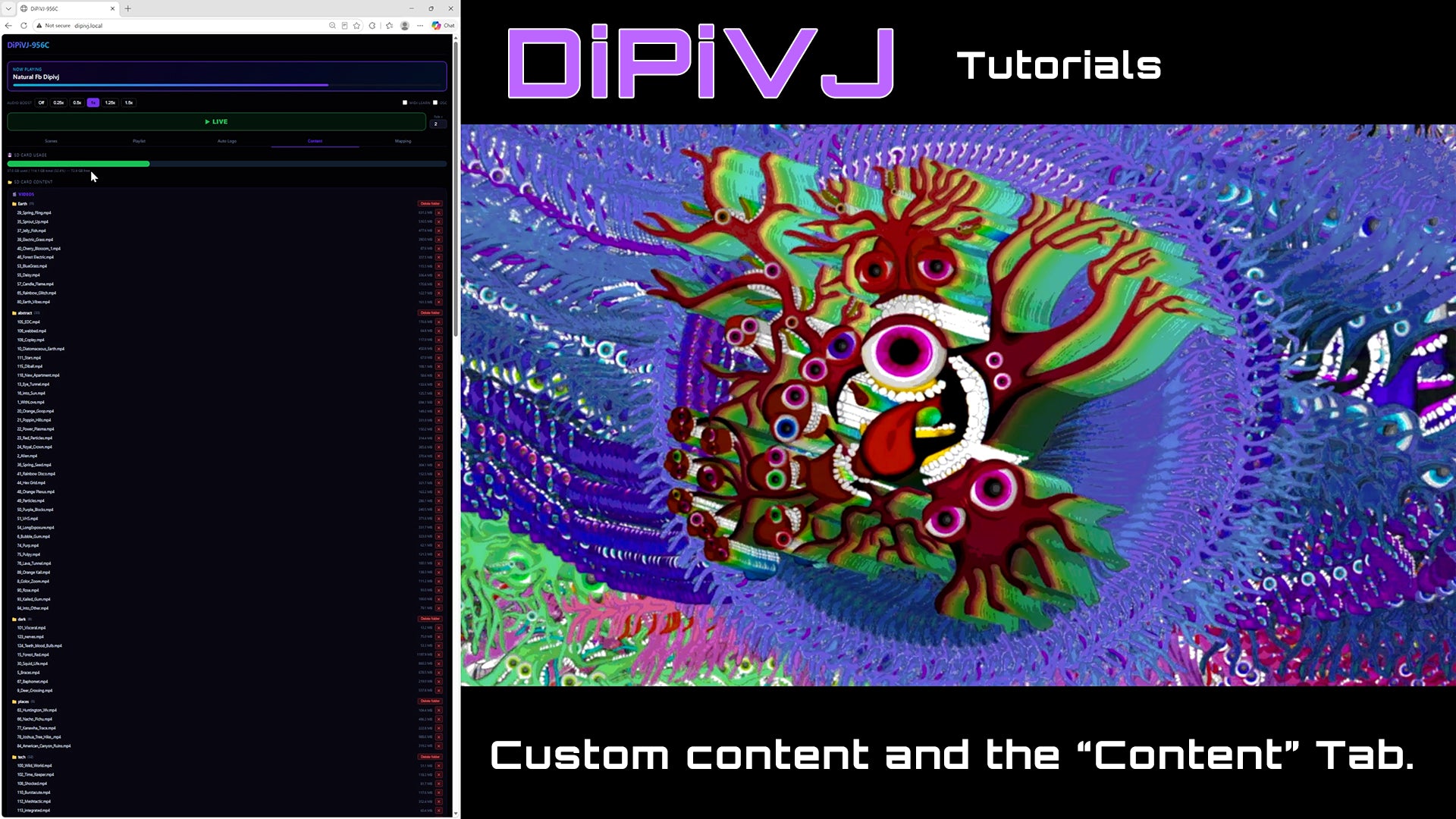 Load video: Overview of the "Scenes" tab of DiPiVJ web UI