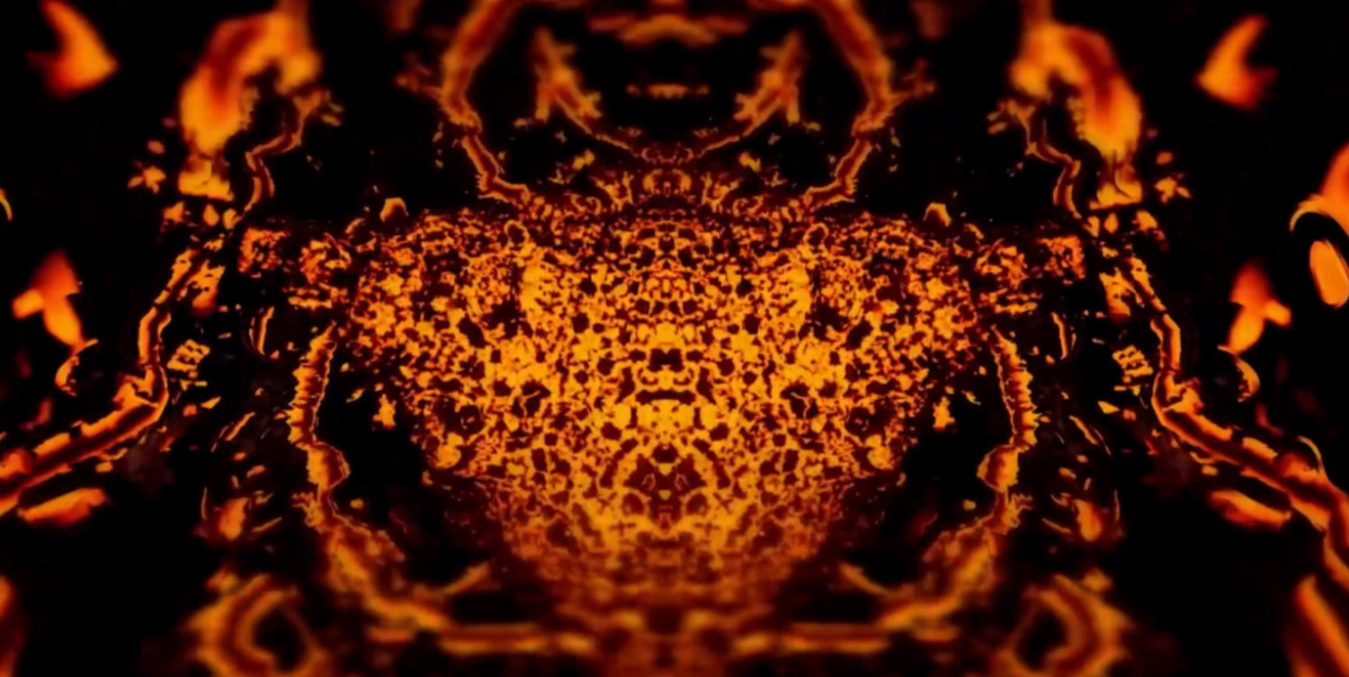 Real-Time Visuals instrument for DJs, producers, bands, and video artists. 